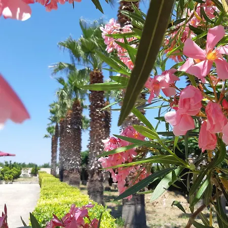 Hotel Baglio Cudia 3*